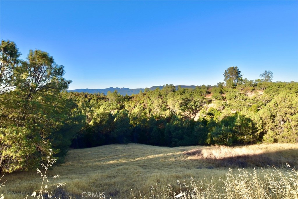 MLS #NS25178338 image #7