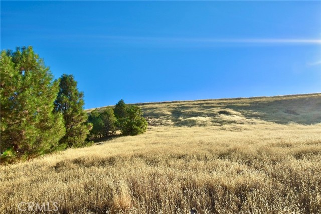 MLS #NS25178338 image #9