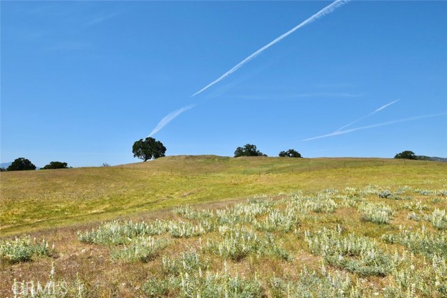 MLS #NS25184417 image #15