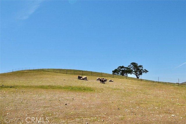 MLS #NS25184417 image #22