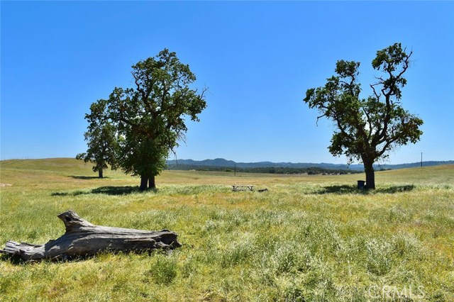 MLS #NS25184417 image #6