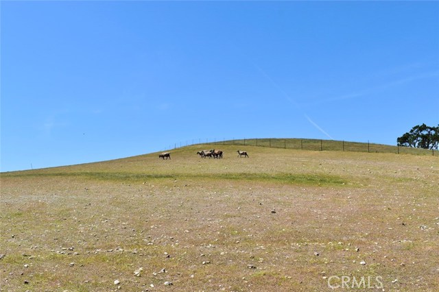 MLS #NS25184417 image #9