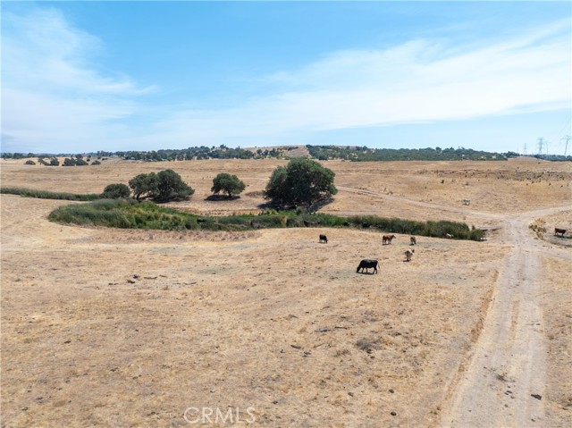 MLS #NS25184629 image #5