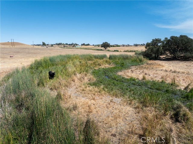 MLS #NS25184629 image #6