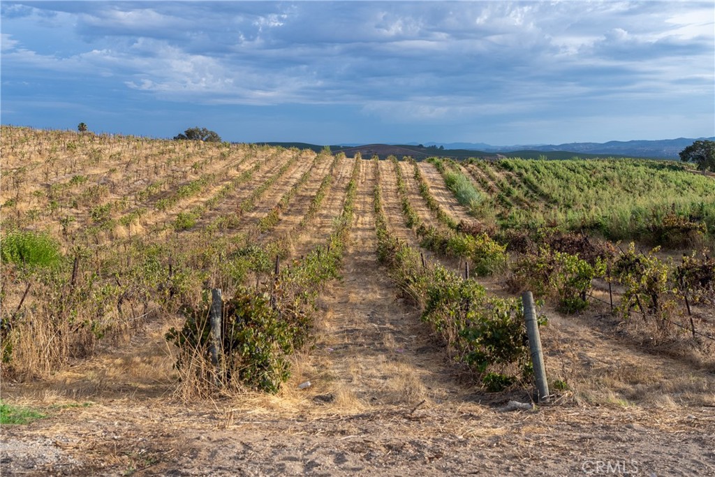 MLS #NS25190041 image #43