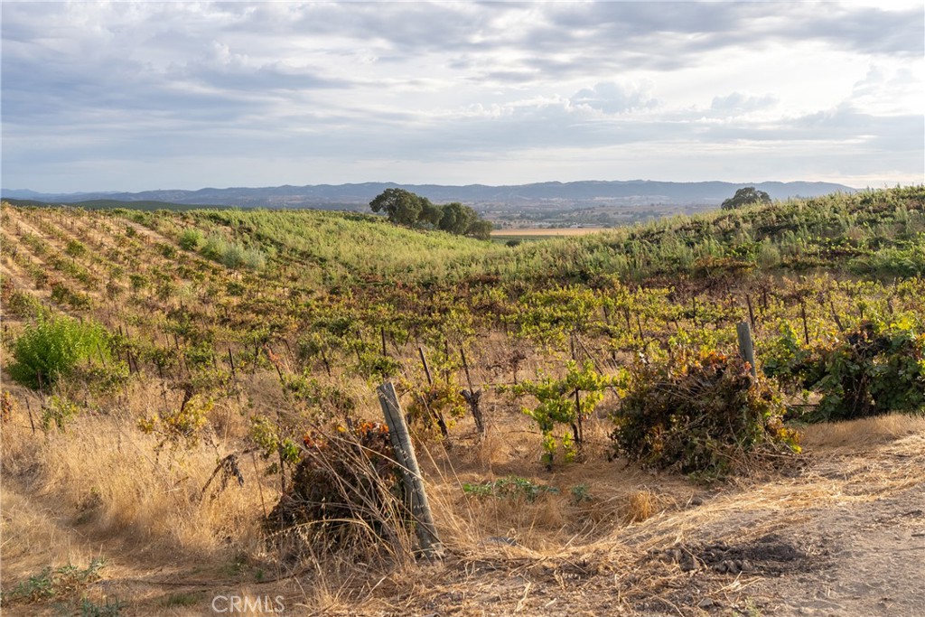 MLS #NS25190041 image #44