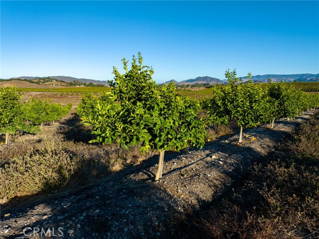 MLS #NS25194884 image #64