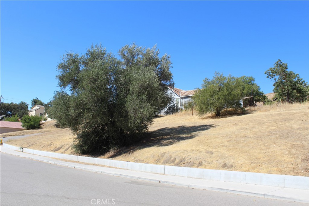 MLS #NS25198288 image #4