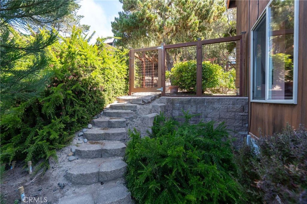 MLS #NS25200213 image #33