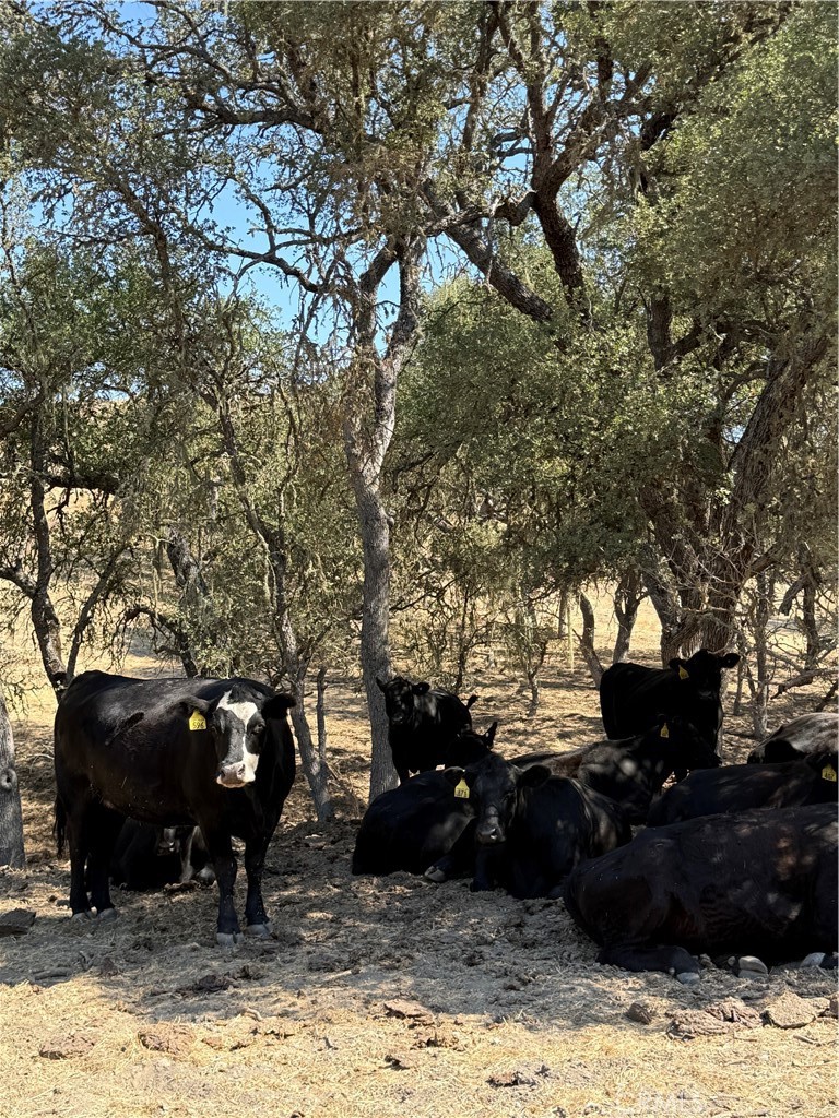 MLS #NS25206608 image #10