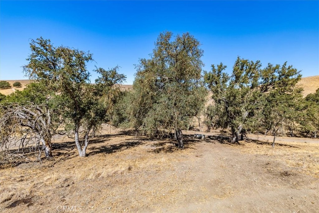 MLS #NS25206608 image #11