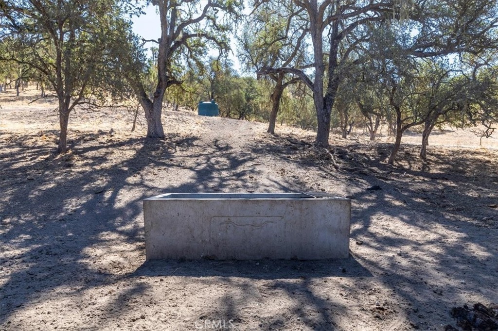 MLS #NS25206608 image #12