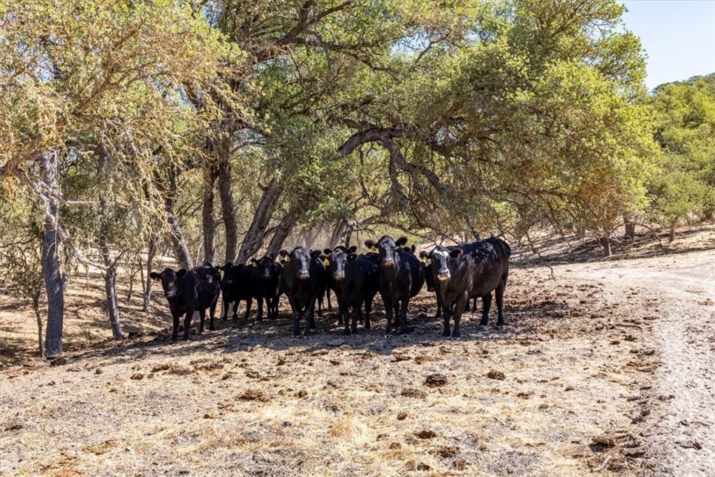 MLS #NS25206608 image #13