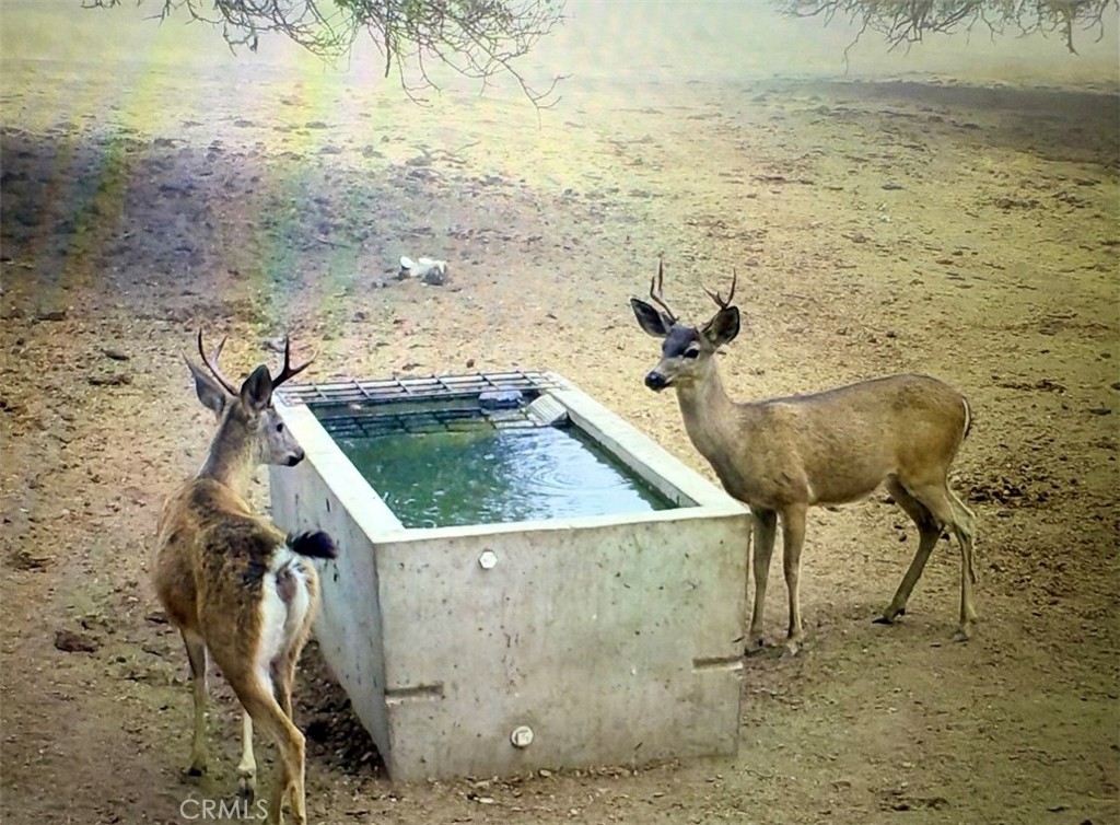 MLS #NS25206608 image #14