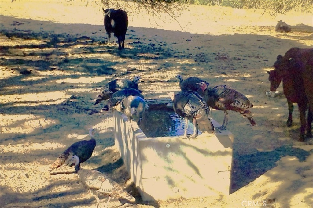 MLS #NS25206608 image #15