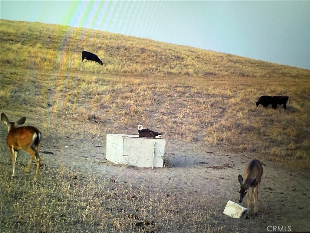 MLS #NS25206608 image #16