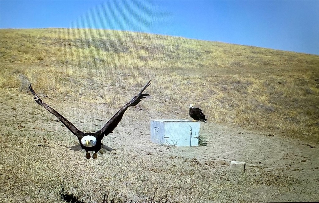 MLS #NS25206608 image #17