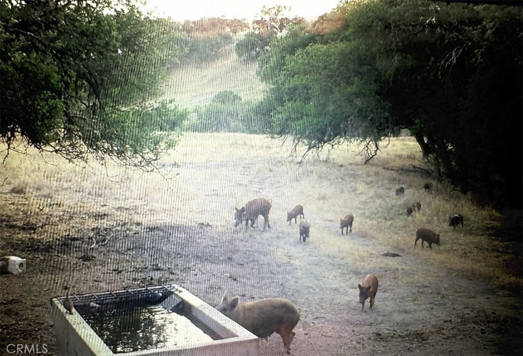 MLS #NS25206608 image #18