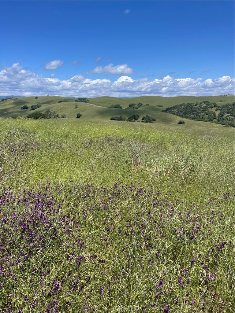 MLS #NS25206608 image #3