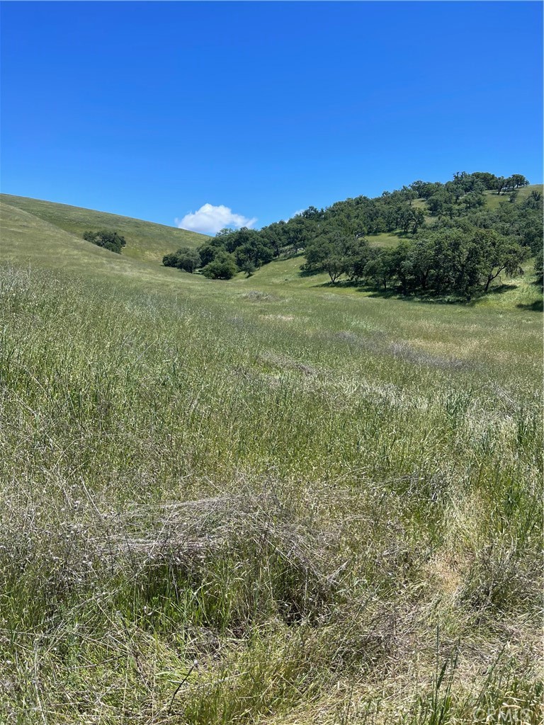 MLS #NS25206608 image #4