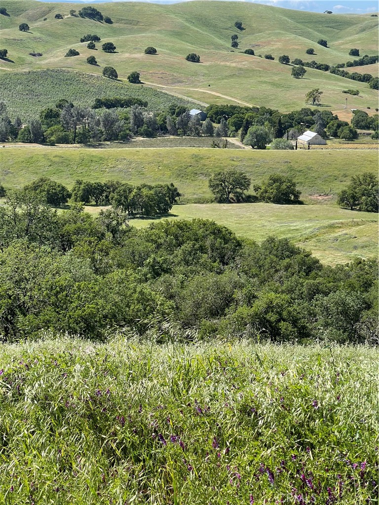 MLS #NS25206608 image #5