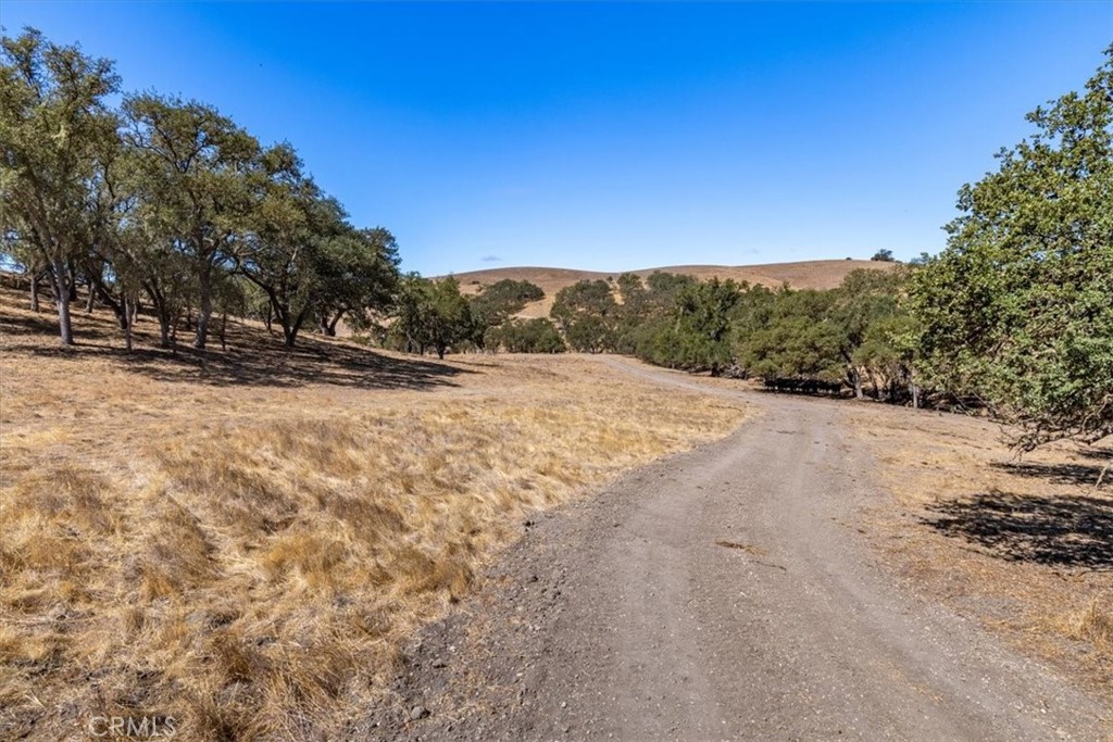 MLS #NS25206608 image #7