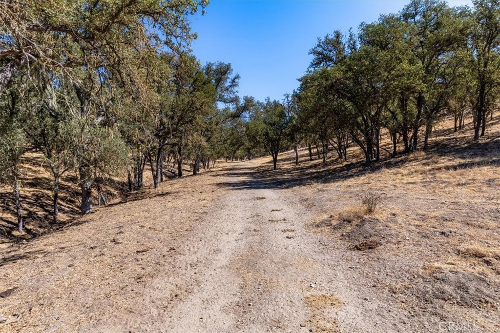 MLS #NS25206608 image #8