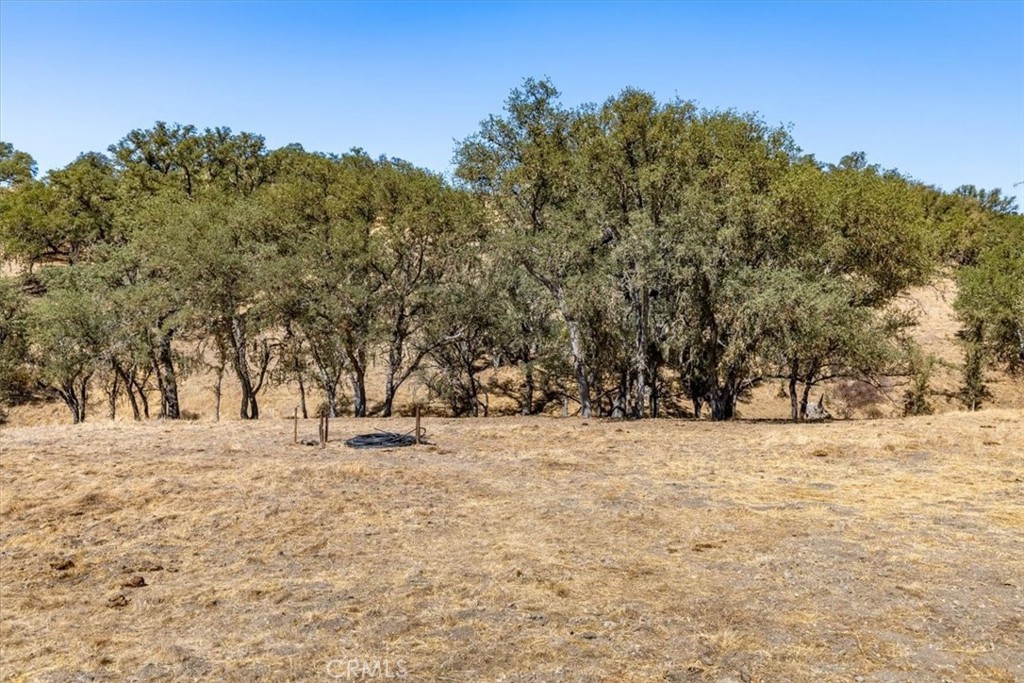 MLS #NS25206608 image #9