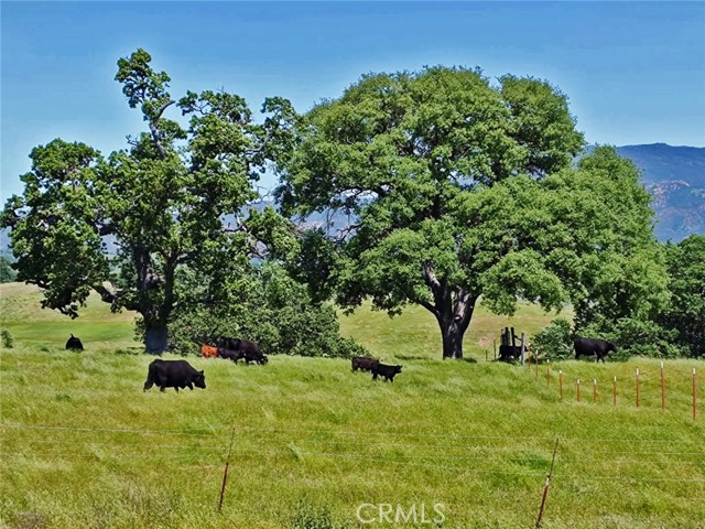 MLS #NS25213544 image #80