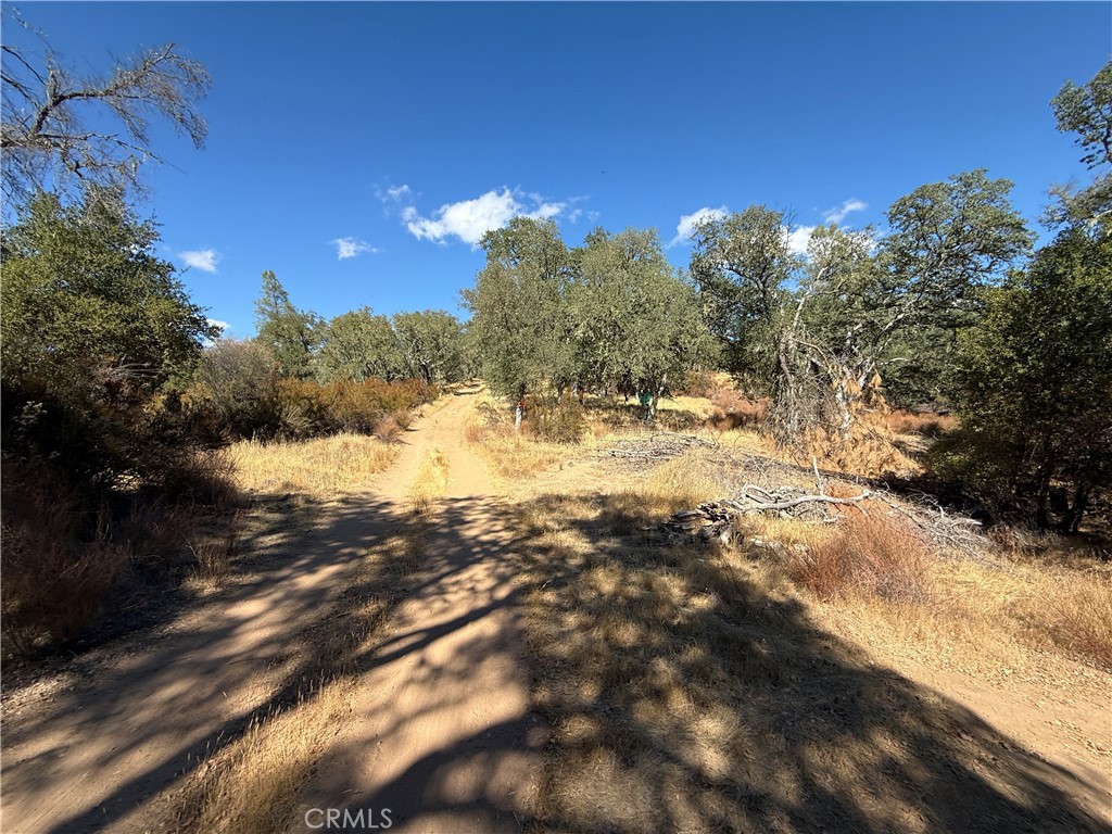 MLS #NS25216128 image #1