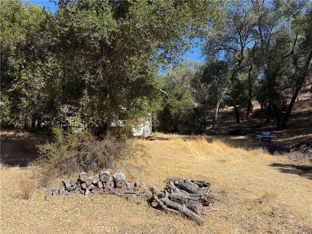 MLS #NS25216128 image #10