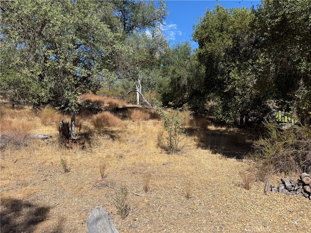 MLS #NS25216128 image #11