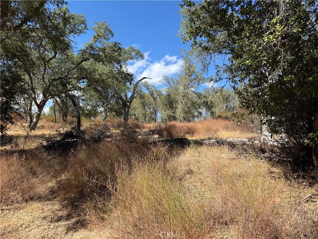 MLS #NS25216128 image #2