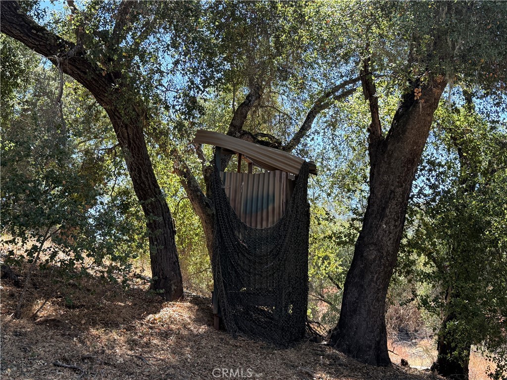 MLS #NS25216128 image #7