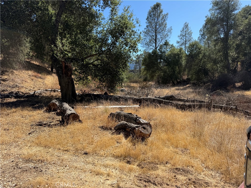 MLS #NS25216128 image #8