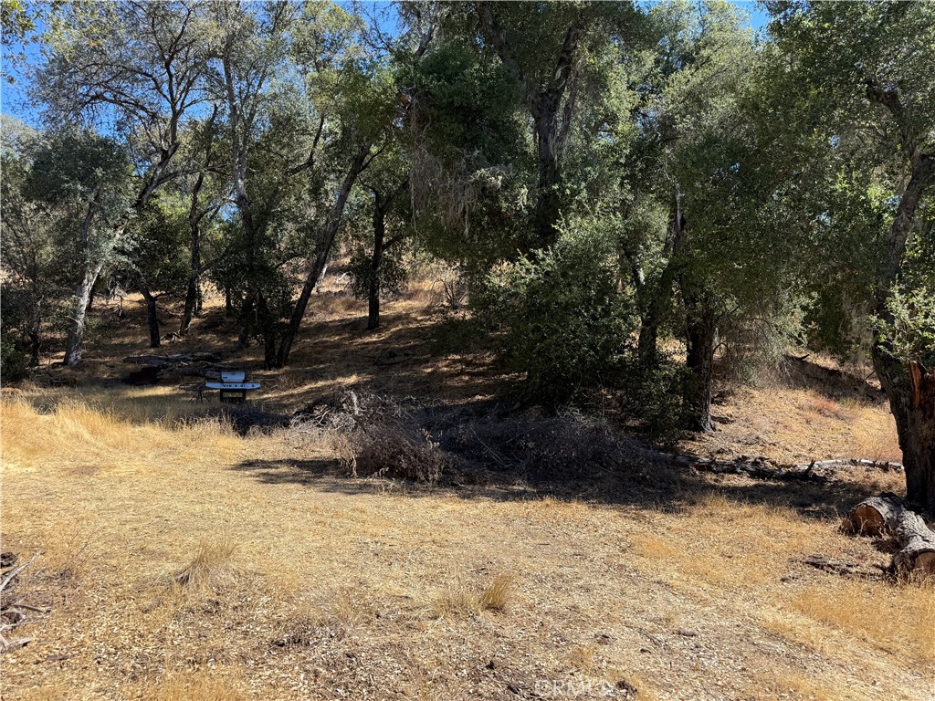 MLS #NS25216128 image #9