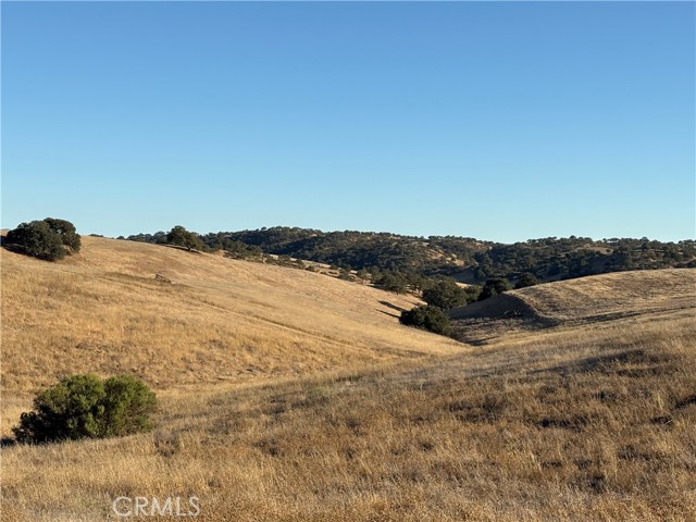 MLS #NS25217169 image #4