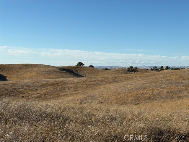 MLS #NS25217169 image #5