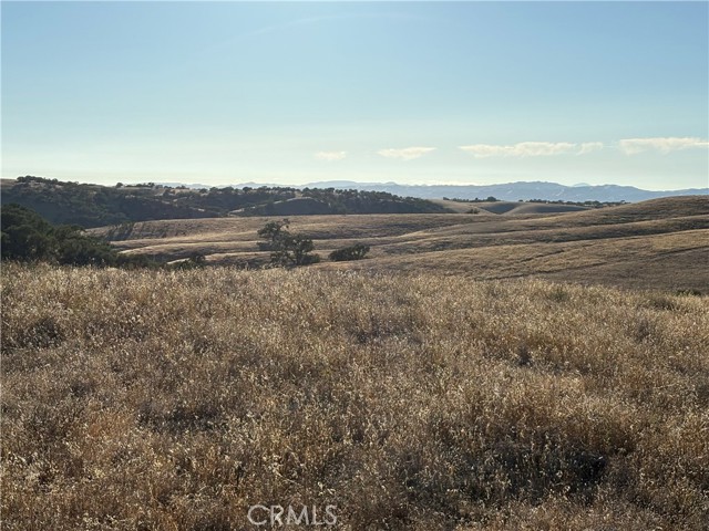 MLS #NS25217169 image #6