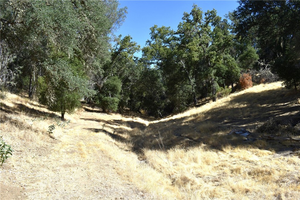 MLS #NS25218039 image #10