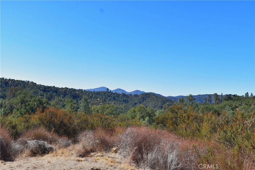 MLS #NS25218039 image #11