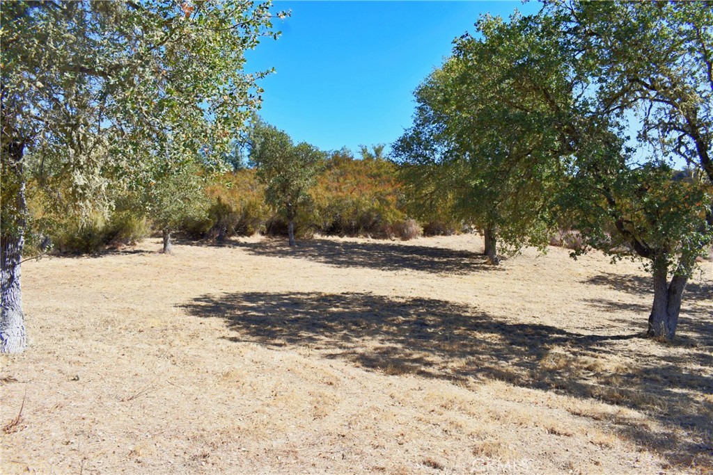 MLS #NS25218039 image #12