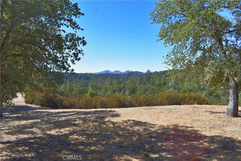 MLS #NS25218039 image #13