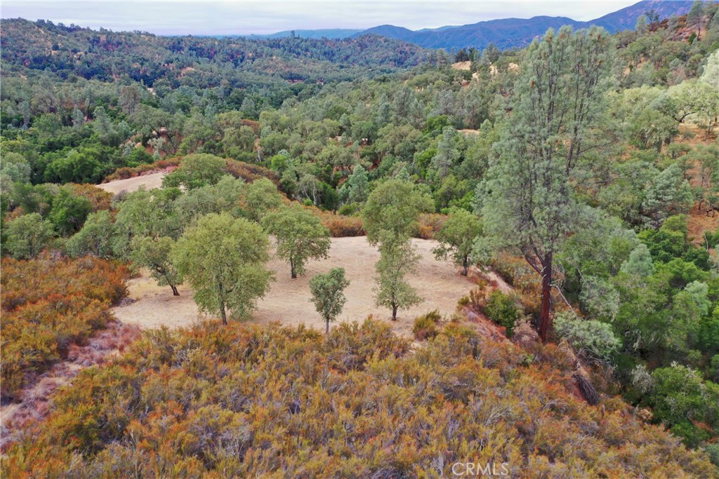 MLS #NS25218039 image #21