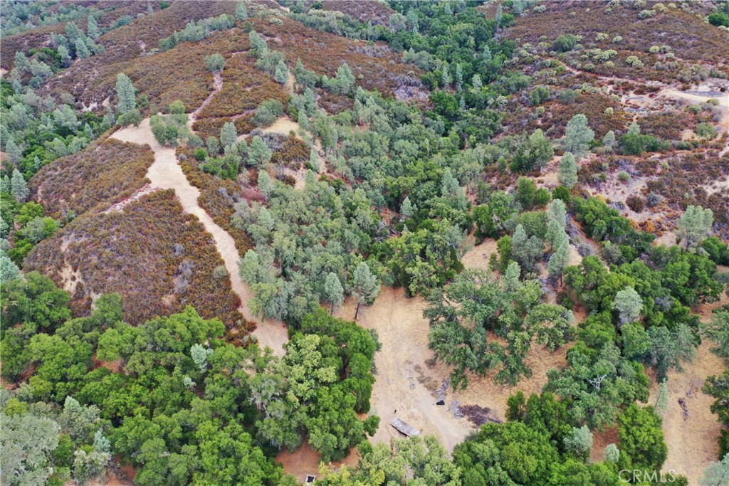 MLS #NS25218039 image #5