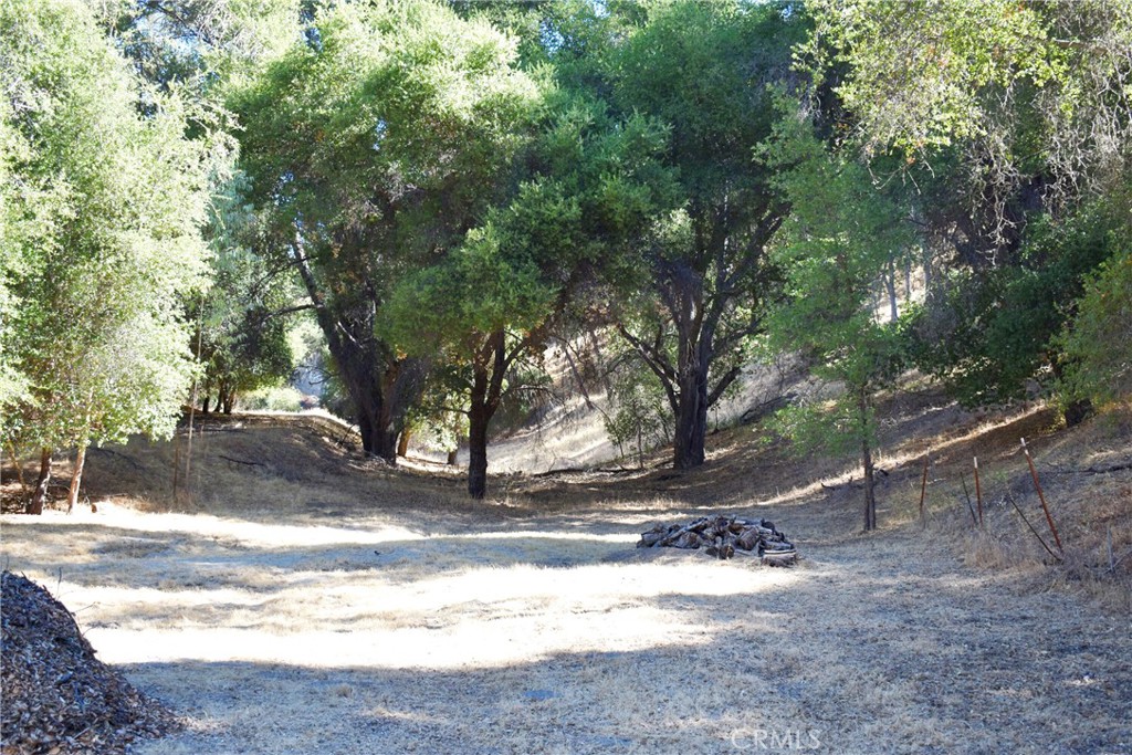 MLS #NS25218039 image #8