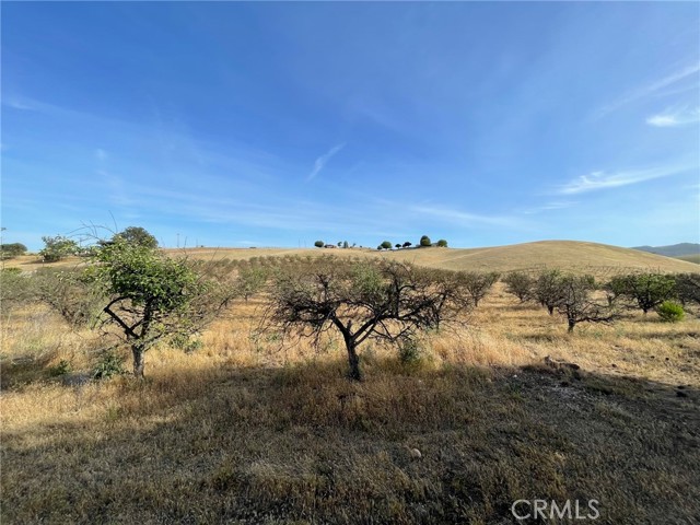 MLS #NS25221680 image #21
