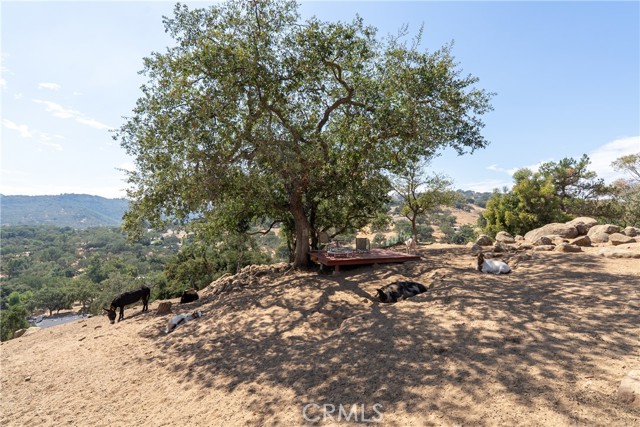 MLS #NS25225707 image #67