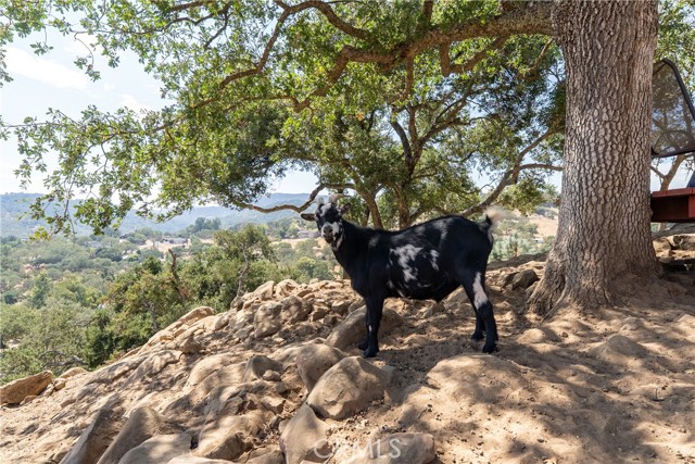 MLS #NS25225707 image #69