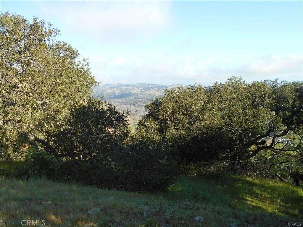 MLS #NS25226732 image #12